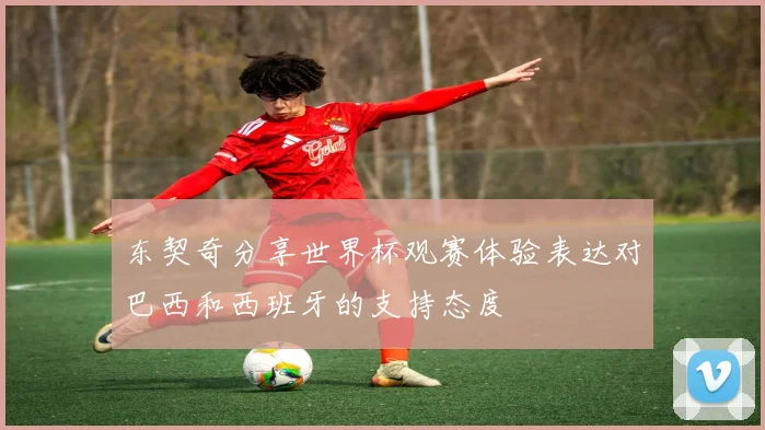 东契奇分享世界杯观赛体验表达对巴西和西班牙的支持态度