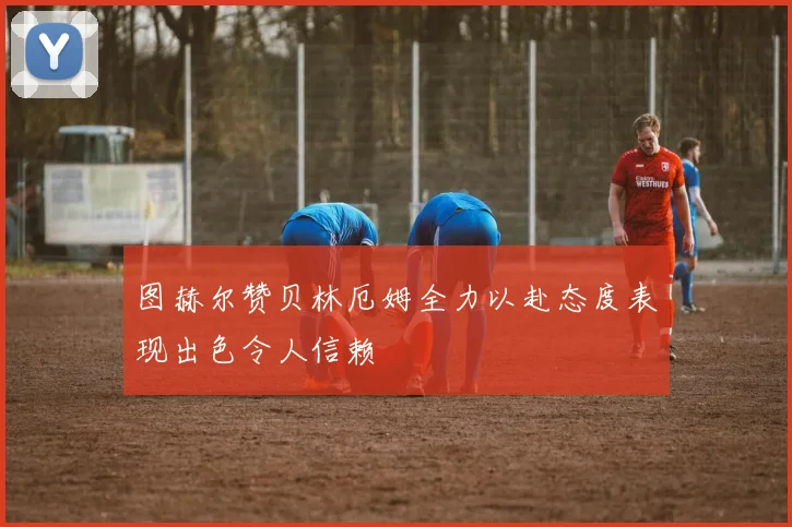 图赫尔赞贝林厄姆全力以赴态度表现出色令人信赖